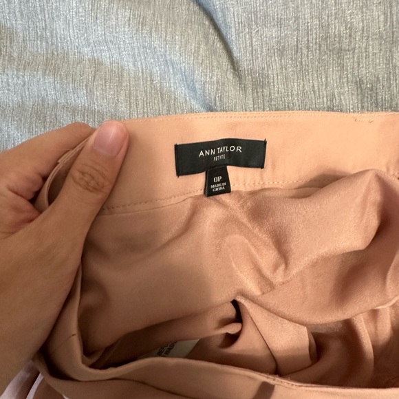 last chance Skirt NWOT Pleated Ann Taylor Petite Size 0 Blush Pink - Picture 5 of 6